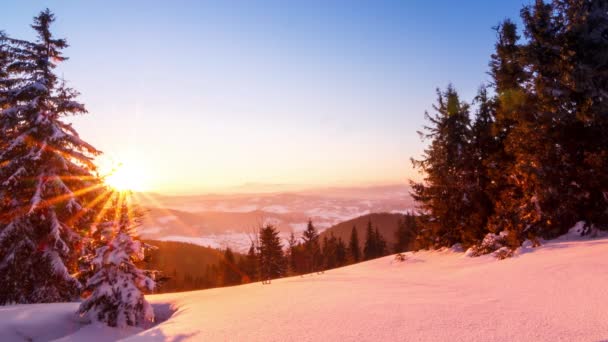 Winterlandschaft im Gebirge — Stockvideo