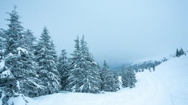 Schöne Winterlandschaft mit schneebedeckten Bäumen. Winterberge. — Stockvideo
