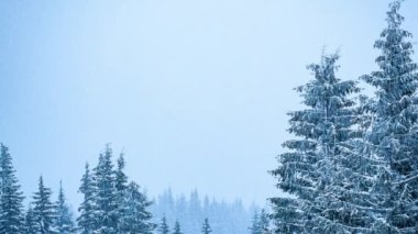 Karla kaplı ağaçlarla kaplı güzel bir kış manzarası. Kış dağları.