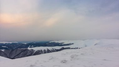 Kış orman bulutlar manzara havadan görünümü ağaçlar seyahat sakin manzara arka plan