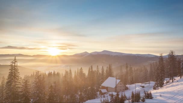 Туманное утро в лесу Зимних гор на фоне драматического облачного неба. Временной промежуток. 4K — стоковое видео
