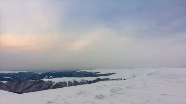 Winter Forest wolken landschap luchtfoto bomen achtergrond reizen serene landschap — Stockvideo
