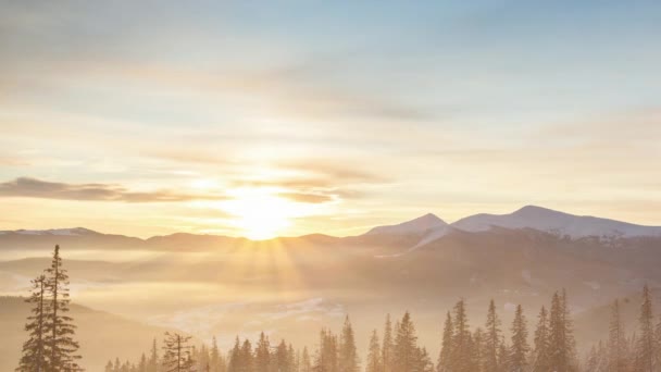 Foggy Morning in the Winter Mountains Forest on the Background of Dramatic Cloudy Sky (en inglés). Timelapse. 4K — Vídeos de Stock