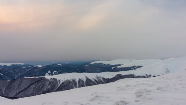 Zimní les mraky krajina letecký pohled stromy na pozadí cestování poklidné scenérie — Stock video