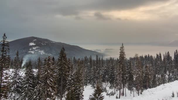 Montanha pico com neve soprar pelo vento. Paisagem de inverno. Dia frio, com neve. — Vídeo de Stock