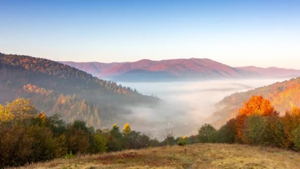 Morgennebel über dem Tal zwischen den Bergen im Sonnenlicht. Nebel und die wunderschöne Natur der Karpaten. Ukraine — Stockvideo