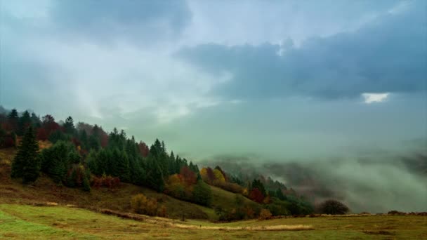 Niebla de la mañana sobre el valle entre las montañas a la luz del sol. Fog and Beautiful nature of Carpathian Mountains footage (en inglés). Ucrania — Vídeo de stock