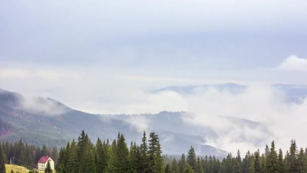太陽の下で山の間の谷の上に朝の霧。霧とカルパチア山脈の映像の美しい自然。ウクライナ — ストック動画