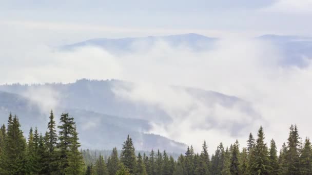 Niebla de la mañana sobre el valle entre las montañas a la luz del sol. Fog and Beautiful nature of Carpathian Mountains footage (en inglés). Ucrania — Vídeos de Stock