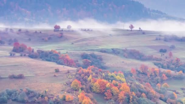 Ранковий туман над долиною серед гір на сонці. Туман і прекрасна природа Карпатських гір. Україна — стокове відео