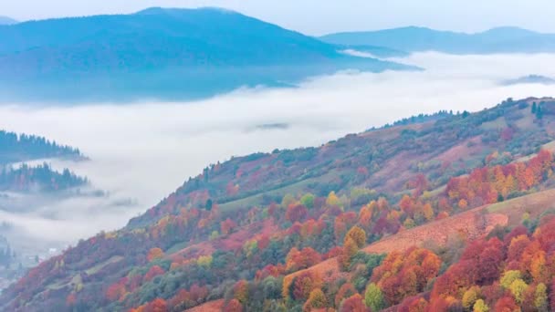 Morning mist over the valley among the mountains in the sunlight. Fog and Beautiful nature of Carpathian Mountains footage. Ukraine — Stock Footage Morning mist over the valley among the mountains in the sunlight. Fog and Beautiful nature of Carpathian Mountains footage. Ukraine Stock Video
