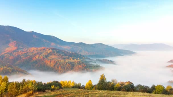 Ochtendmist over de vallei tussen de bergen in het zonlicht. Mist en prachtige natuur van de Karpaten. Oekraïne — Stockvideo