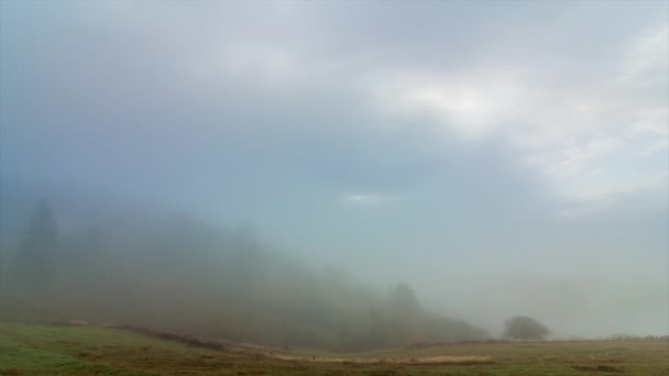 Reggeli köd a völgyön át a hegyek között a napfényben. Köd és gyönyörű természete Kárpátok felvételek. Ukrajna — Stock videók