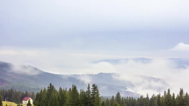 Morgondimma över dalen bland bergen i solljuset. Dimma och vacker natur Karpaterna bilder. Ukraina — Stockvideo