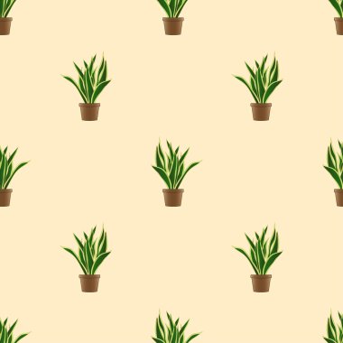 Fildişi Arkaplanda Yılan Bitkisi Kusursuz