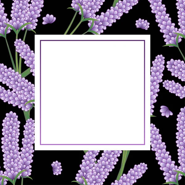 Lavender Flower Banner Black Background — Stock Vector