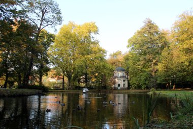 Deniz manzarası ve ağaçlar Dresden Saksonya Almanya 'sında bir parkta güneşli bir günde çekilmiş.
