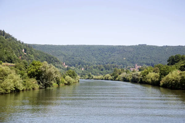 Blick Auf Die Natur Neckar Heidelberg Einem Sommertag — Stockfoto