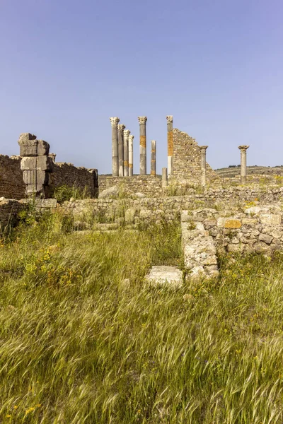 Archaeological Site of Volubilis, ancient Roman empire city, Unesco World Heritage Site — Stock Photo, Image