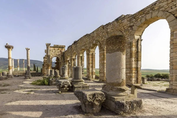 Interior of the Basilica at archaeological Site of Volubilis, ancient Roman empire city, Unesco World Heritage Site — Stock Photo, Image