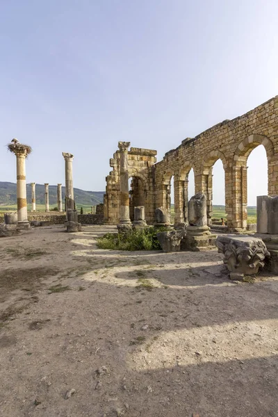 Interior of the Basilica at archaeological Site of Volubilis, ancient Roman empire city, Unesco World Heritage Site — Stock Photo, Image