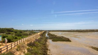 Timelapse saltmarch landcsape ve walkpath Ria Formosa, sulak alanların doğal koruma bölgesi, Algarve içinde pan.