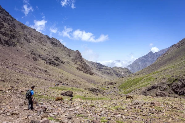 Toubkal national park, the peak whit 4,167m is the highest in the Atlas mountains and North Africa, trekking trail landscape panoramic view. — Stock Photo, Image