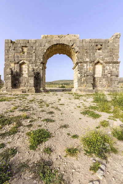 Археологічні сайт Volubilis, древнє місто Римської імперії, Всесвітньої спадщини ЮНЕСКО — стокове фото