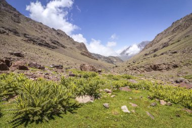 Atlas Dağları ve Kuzey Afrika'da Toubkal Milli Parkı, tepe katiyen 4,167m en yüksek olduğu