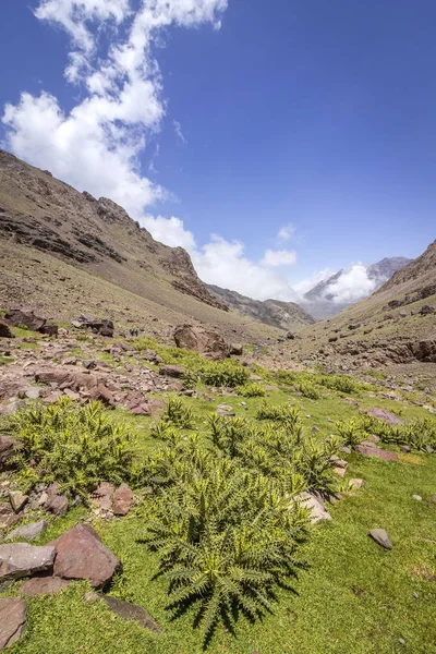 Toubkal parque nacional, o pico whit 4,167m é o mais alto nas montanhas Atlas e Norte de África — Fotografia de Stock