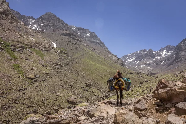 Parc national Toubkal, le pic whit 4,167m est le plus élevé des montagnes de l'Atlas et de l'Afrique du Nord Images De Stock Libres De Droits