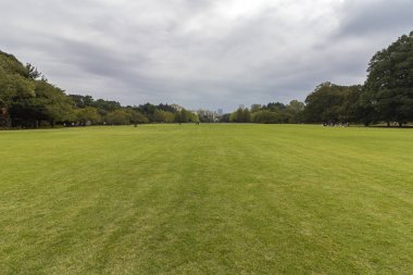 Shinjuku Gyoen 'de sonbahar, Shinjuku ve Shibuya' da büyük bir park ve bahçe, Tokyo, Japonya.