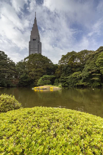 Осень в Shinjuku Gyoen, большой парк и сад в Синдзюку и Сибуя, Токио, Япония . — стоковое фото