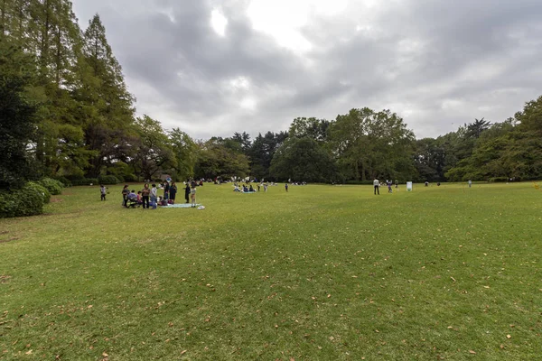 Autumn in Shinjuku Gyoen, a large park and garden in Shinjuku and Shibuya, Tokyo, Japan. — Stock Photo, Image