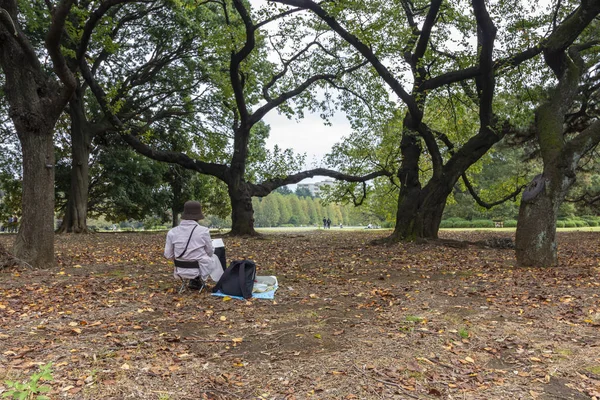 Herfst in Shinjuku Gyoen, een groot park en tuin in Shinjuku en Shibuya, Tokio, Japan. — Stockfoto