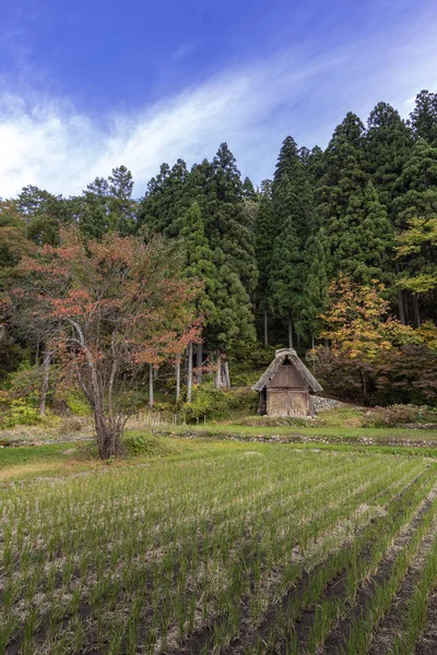 Shirakawa-go 'daki Ogimachi' nin Tarihi Köyü, Unesco Dünya Mirasları Bölgesi, küçük ve geleneksel bir köy, gthe-zukuri olarak bilinen bir yapı tarzını sergiliyor. Japonya. — Stok fotoğraf