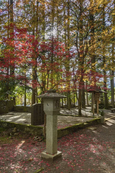 Okunoin Mezarlığı, Japonya 'nın en kutsal yerlerinden biri. Koyasan, Japonya. — Stok fotoğraf
