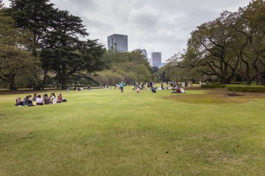 Shinjuku Gyoen 'de sonbahar, Shinjuku ve Shibuya' da büyük bir park ve bahçe, Tokyo, Japonya.