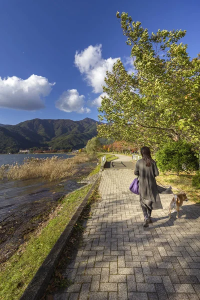 Lake Kawaguchi Lawn Square Park, sightseeing of mount Fuji, Japan. — Stock Photo, Image