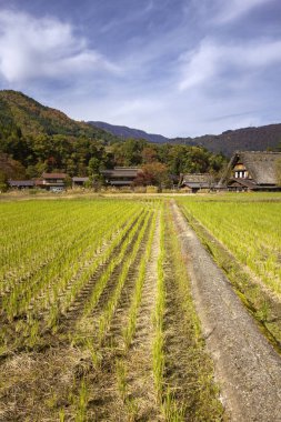Shirakawa 'daki Ogimachi' nin Tarihi Köyü, Unesco Dünya Mirası Bölgesi, Gassh Zukuri olarak bilinen bir yapı tarzının sergilendiği küçük ve geleneksel bir köy. Japonya