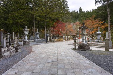 Okunoin Mezarlığı, Japonya 'nın en kutsal yerlerinden biri. Okunoin 'deki mezar sayısı 200 binden fazla, Koyasan, Japonya.