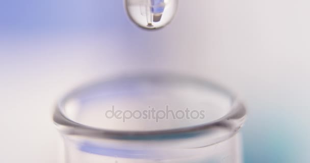 Drop is falling into test tube close up — Stock Video