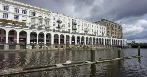 Vista sobre Alsterarkaden Hamburgo y el lago Alster con cisnes blancos — Vídeo de stock