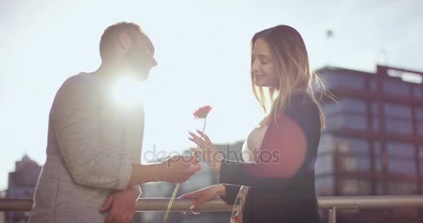 Namorado encantador dá flor à namorada e recebe um beijo — Vídeo de Stock