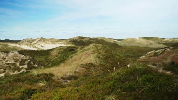 Kameraschwenk der Dünenlandschaft — Stockvideo