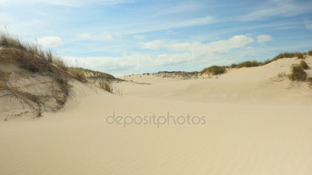 Paisaje de dunas — Vídeos de Stock