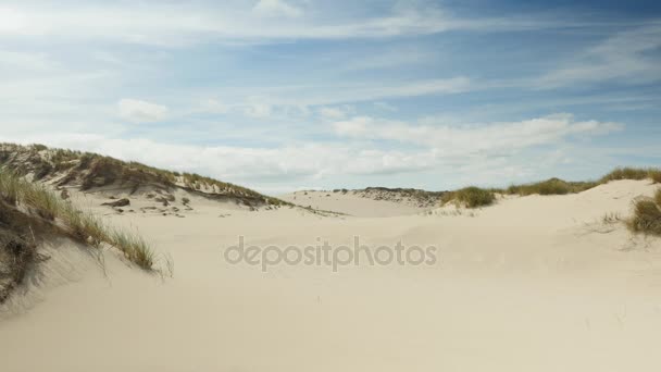 Paisaje de dunas arenosas — Vídeo de stock