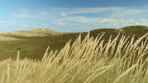 Paisaje de colinas de hierba — Vídeo de stock