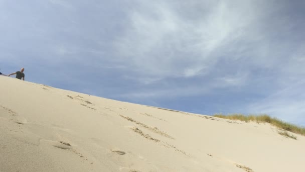 Vrolijke mannelijke familieleden rennen en springen zandduin — Stockvideo