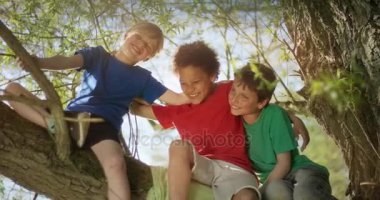 Üç küçük erkek birbirlerini bir ağaç üzerinde otururken kucaklayan